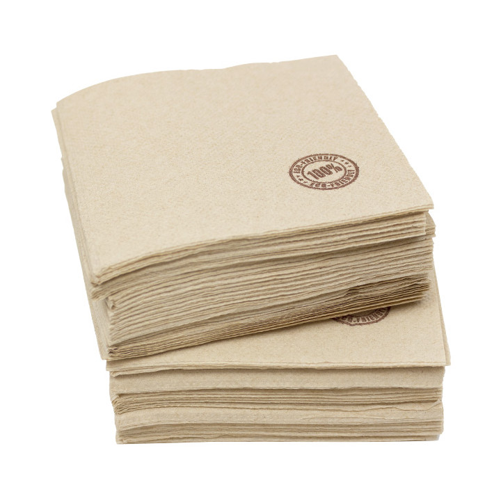 Eco-Friendly Cocktail Napkin Double Point 20x20cm 2-ply (100 Units)