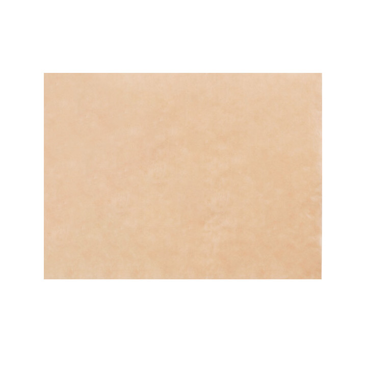 Greaseproof Paper Wrapping Kraft in Dispenser 20,6x27cm (6.000 Units)
