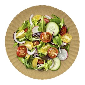 Paper Plate Round Shape Kraft 18cm 255g/m2 (100 Units) 