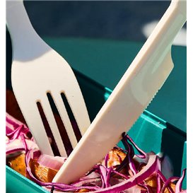 Reusable Durable Fork in PP Cream 17,9cm (500 Units)