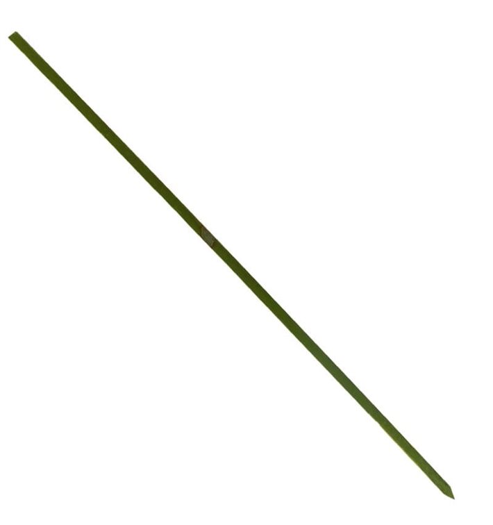 Bamboo Food Pick Natural 20cm (200 Units)  