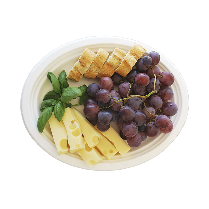 Sugarcane Tray White 26x20 cm (500 Units)