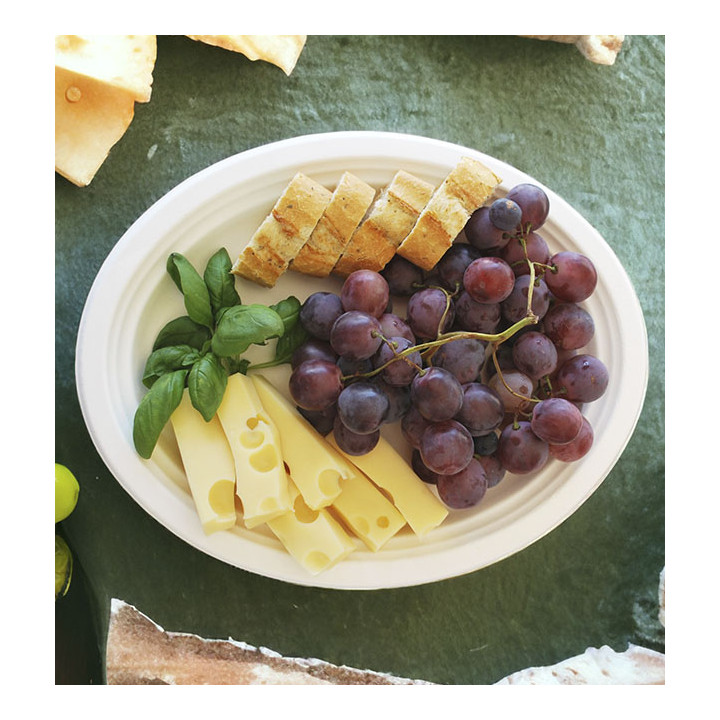 Sugarcane Tray White 26x20 cm (500 Units)