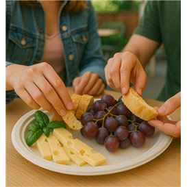 Sugarcane Tray White 26x20 cm (500 Units)