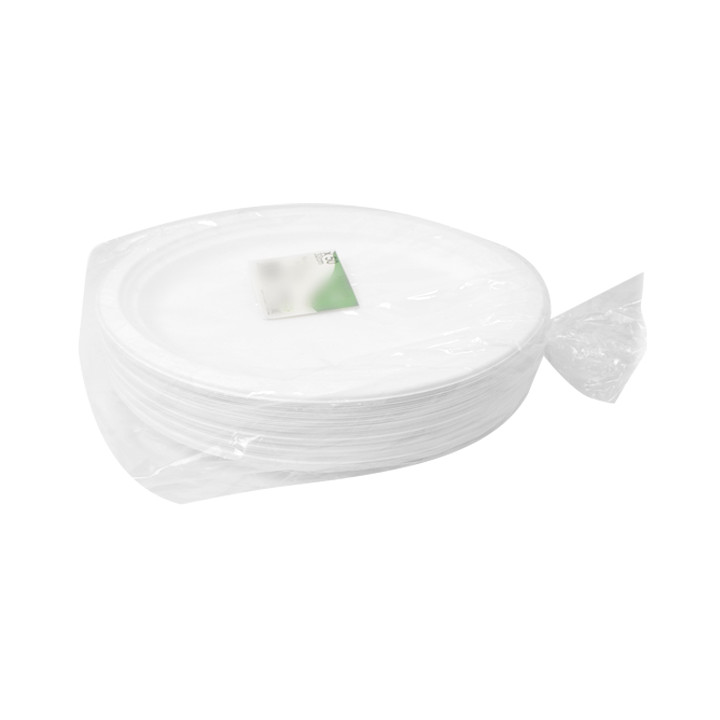 Sugarcane Tray White 26x20 cm (50 Units) 