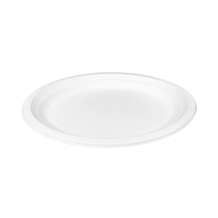 Sugarcane Tray White 26x20 cm (50 Units) 