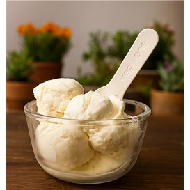 Paper Ice Cream Spoon Compostable White 9cm (50 Units)