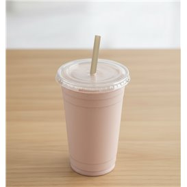 Sugarcane Straw Eco Straight Ø6mm 15 cm (6000 Units)