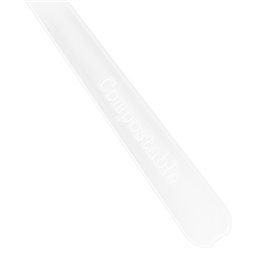 White CPLA Plastic Appetizer Small spoon 10 cm (1000 Units)