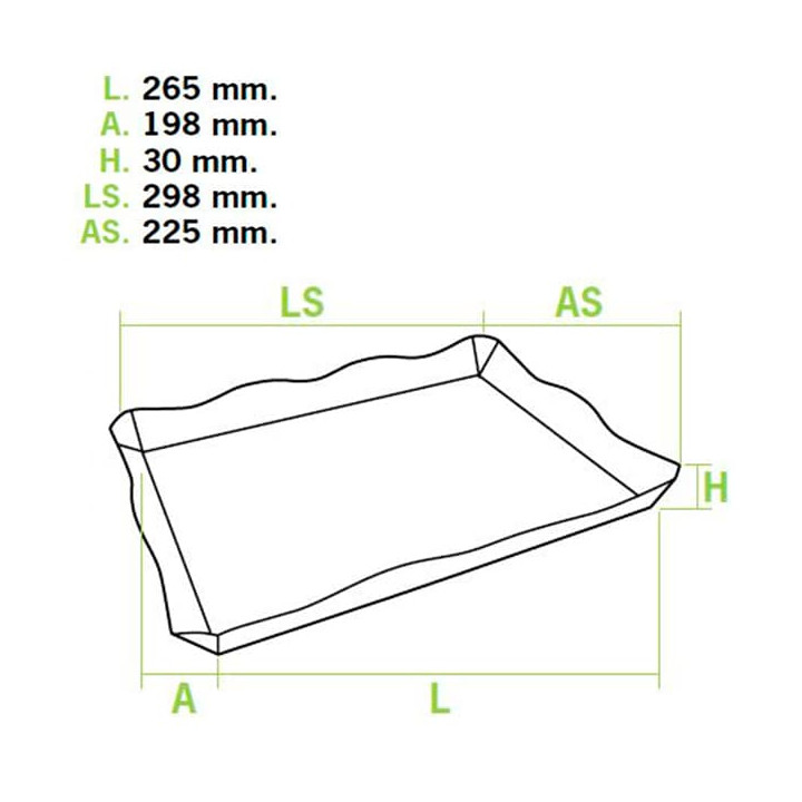 Cardboard Tray Fast Food (10 Units)