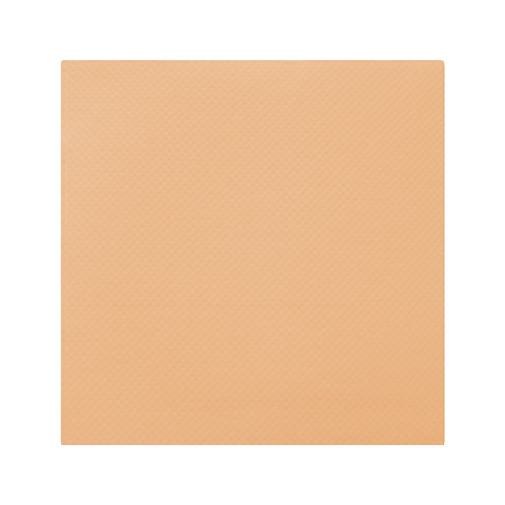 Paper Napkin Double Point Salmon 40x40cm 