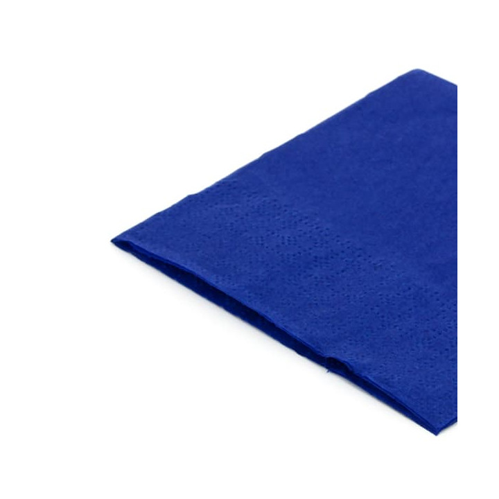 Paper Napkin Blue 20x20cm (100 Units)  