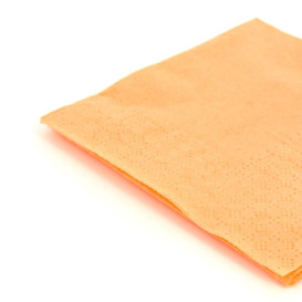 Paper Napkin Salmon 20x20cm 2C (100 Units)  