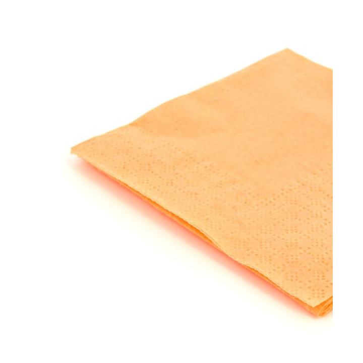 Paper Napkin Salmon 20x20cm 2C (100 Units)  