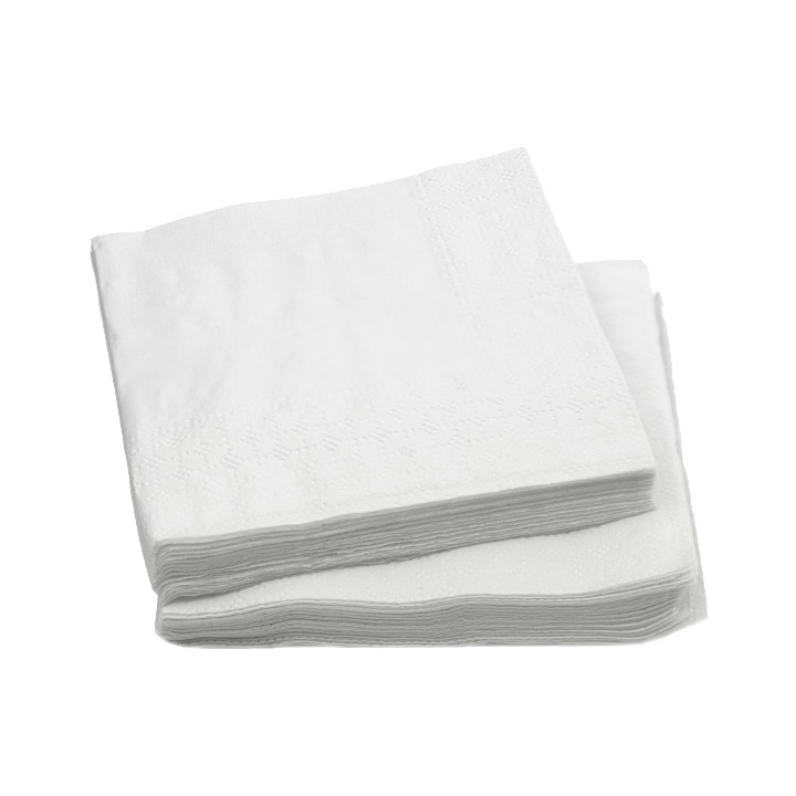 Paper Napkin White 20x20cm 2C (100 Units)  