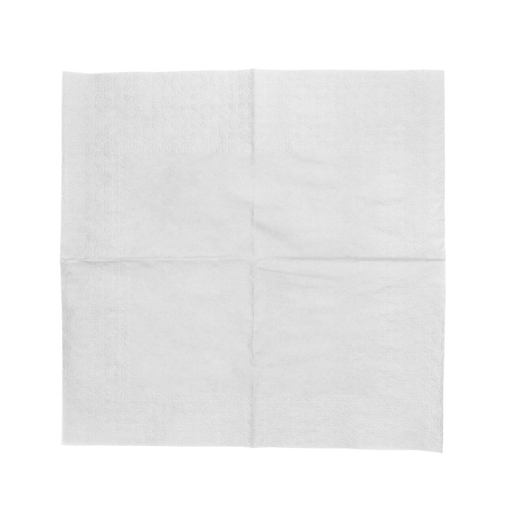 Paper Napkin White 20x20cm 2C (100 Units)  